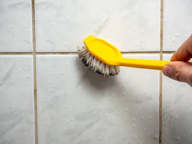 Best Mold Remediation  in Simsbury Center, CT