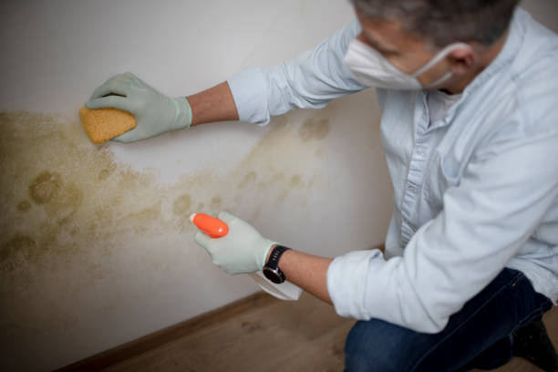 Simsbury Center, CT Mold Removal Company